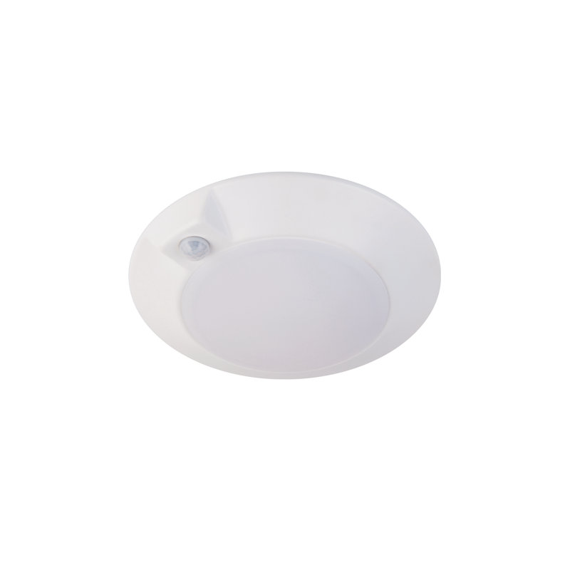 Disc Acrylic LED Flush Mount