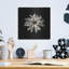 «All White» par Photoinc Studio, Met-380886283