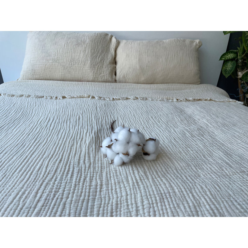 Muslin Shams Cotton Sham Set, Standard/Twin, Ivory