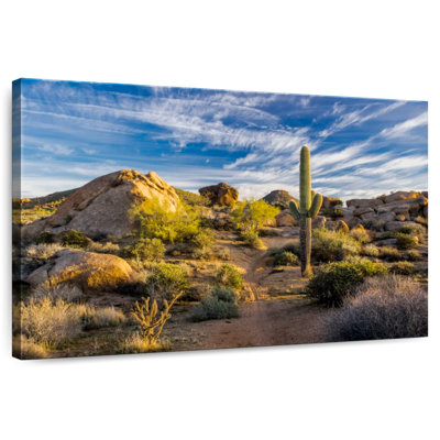 Alvord Saguaro, cactus et roches