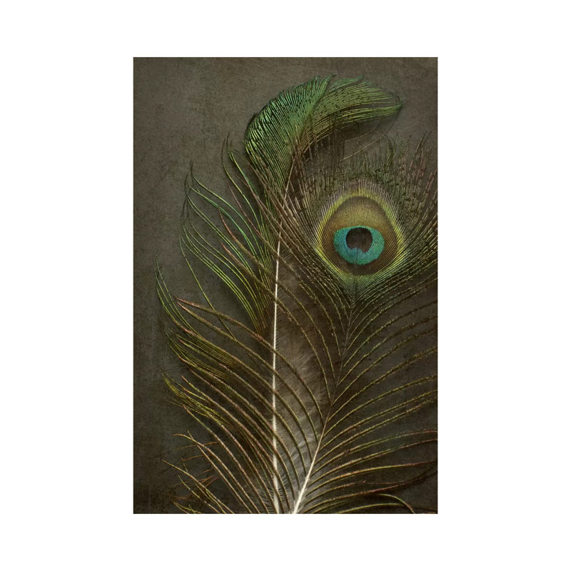 Two Peacock Feathers by Alyson Fennell - Wrapped Canvas Gallery-Wrapped Canvas Giclée, 66.04 cm H x 45.72 cm W x 1.91 cm D