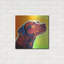 «Pit Bull - Fuji» par Dawg Painter-445816956