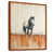 Brown Floater Framed