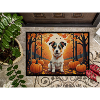 Cayenne Non-Slip Doormat