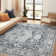 Purrier Chenille Mashine Washable Vintage Indoor Arae Rug with Non-Slip Backing for Bedroom Living Room Kitchen Entryway