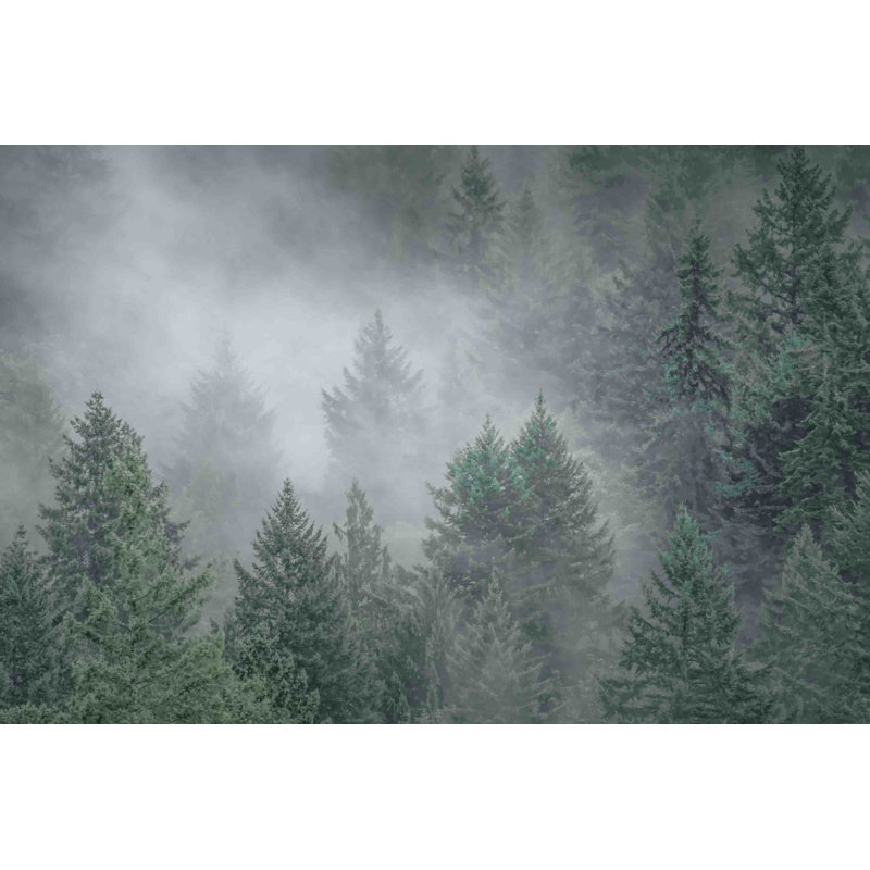 «Draped In Clouds» par Don Schwartz, reproduction d'art sur toile tendue, 16 po x 24 po