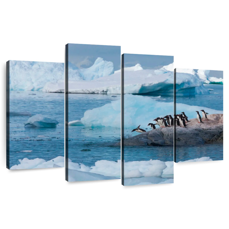 Brampt Gentoo Penguins, 27" H x 43" W