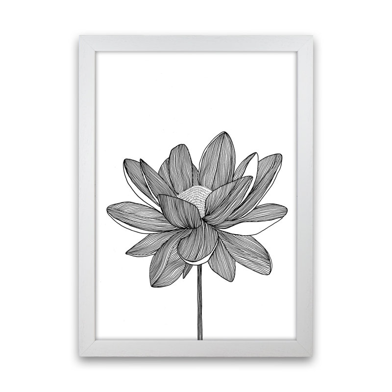 Lotus by Carissa Tanton - Print, White Framed, 46cm H x 34cm W x 3cm D