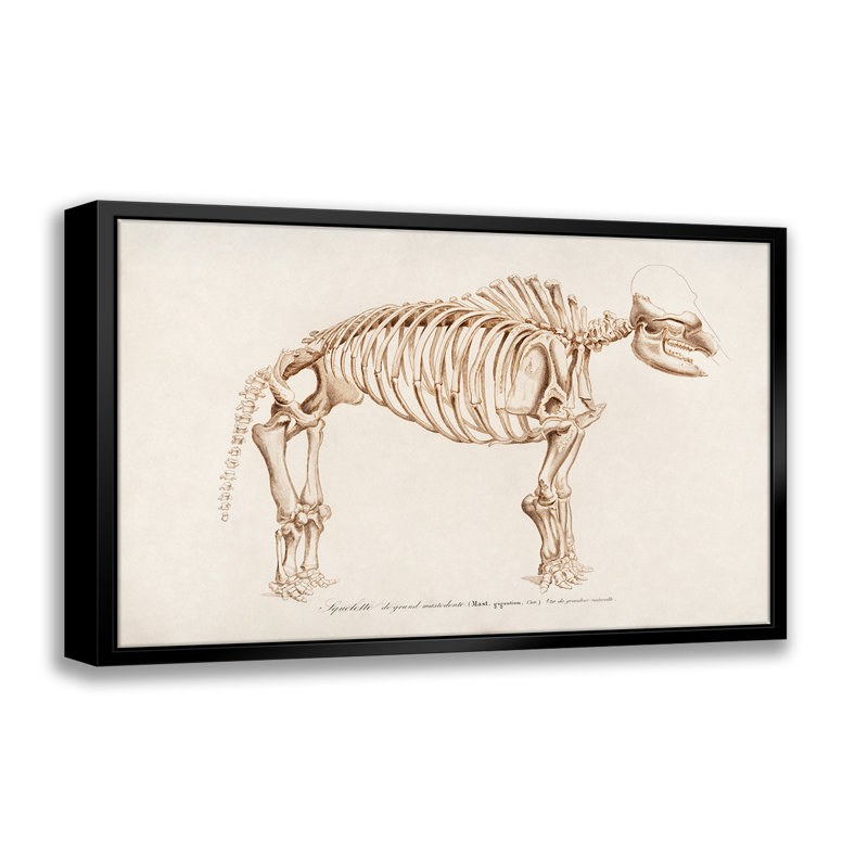 «Mammoth Skeleton», reproduction sur toile flottante