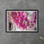 Bougainvillea Sky by Tim Klein