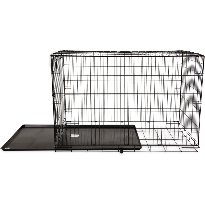 Cage pour chien à une porte de 36 po, pour animaux 50-70 lb, avec système de verrouillage à 5 points Provalue Products