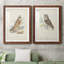 Hawk Owl Premium encadré mat - prêt à être accroché-1071751110-1071751105