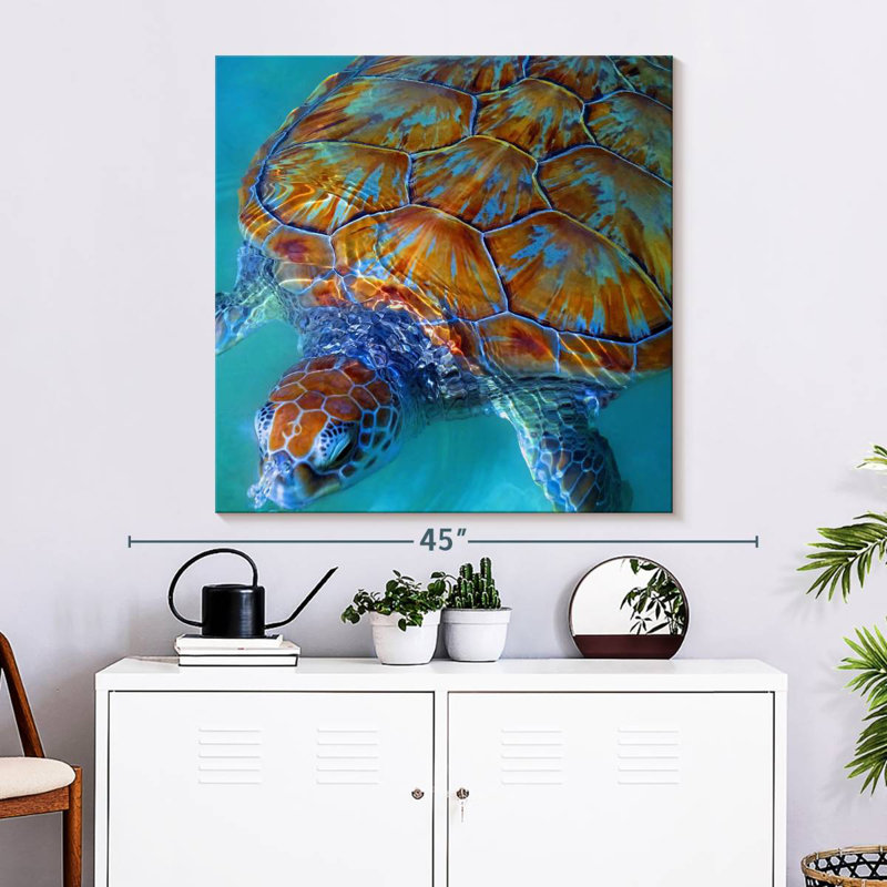 Tortue de mer Brampt Cayman, H 33 po x l 33 po