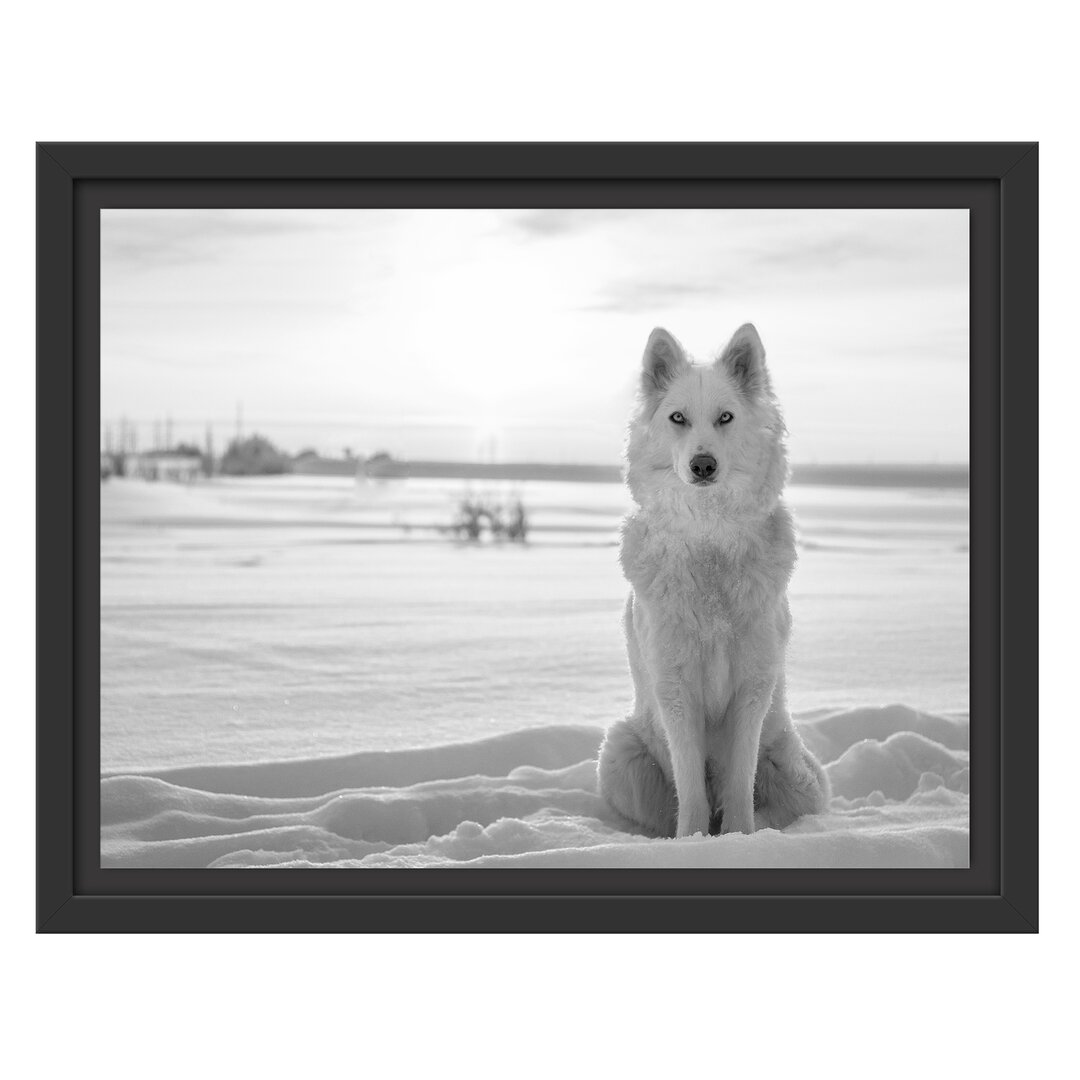 Gerahmtes Wandbild Weißer WolfSchnee Kunst B&W