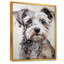 Yorkshire Terrier, portrait curieux-1169797453-1207524350