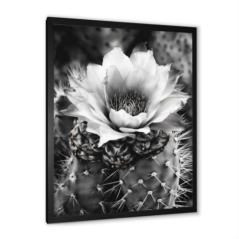 Naythen Gray Desert Cactus I sur toile, Cadre photo noir, H 20 po x l 12 po x P 1 po