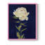 Impression encadrée «PRETTY AS A PEONY I» - bois massif-114006098-114006100