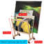 Magazine Rack-820129022