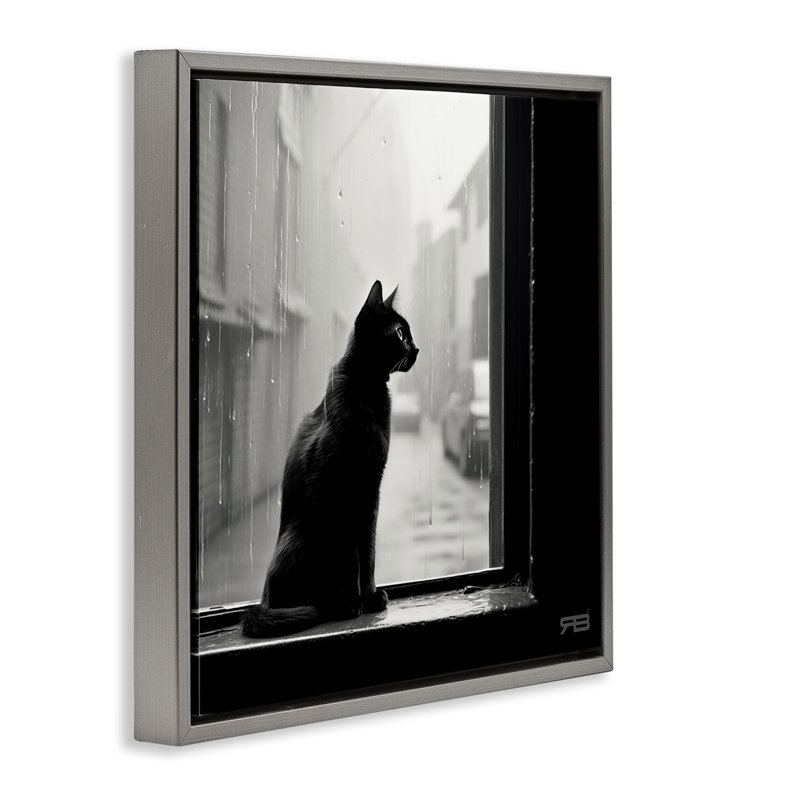 «Cat Gazing Rainy Window» par Roozbeh Bahramali, Cadre flottant gris lustré, H 25 po x l 25 po