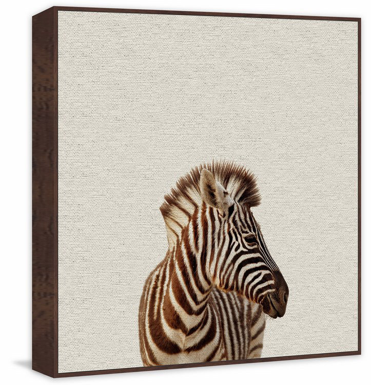 'Zebra Side View' Framed Photographic Print on Canvas, 12" H x 12" W x 1.5" D