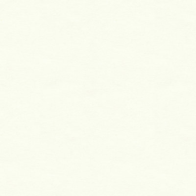 Perfect Plains White Cotton Fabric
