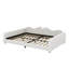 Upholstered Sherpa Fabric Bed With Cloud-Shaped Backrest-987434602-987434517