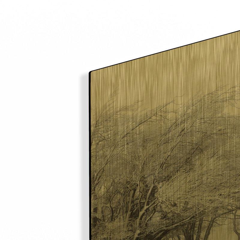«Winter Storm» par Incado, art mural en métal doré, 16 po x 24 po, 16 po x 24 po