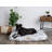 Orthopedic Polyester Pet Bed
