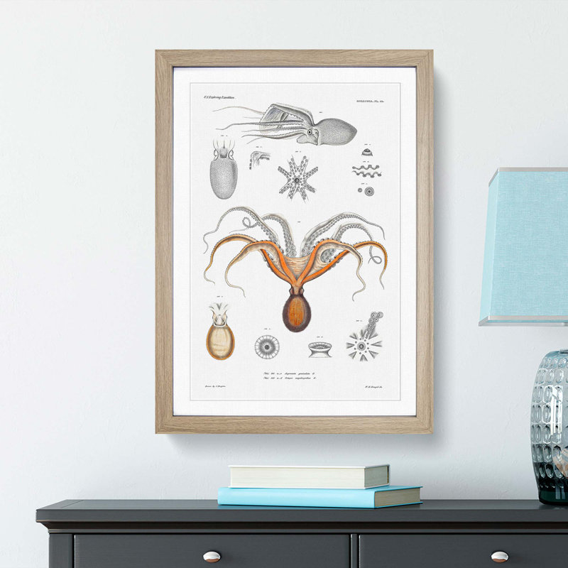 Red Octopus by A.A. Gould - Picture Frame Painting Print, 48cm H x 36cm W x 2cm D, Oak Framed