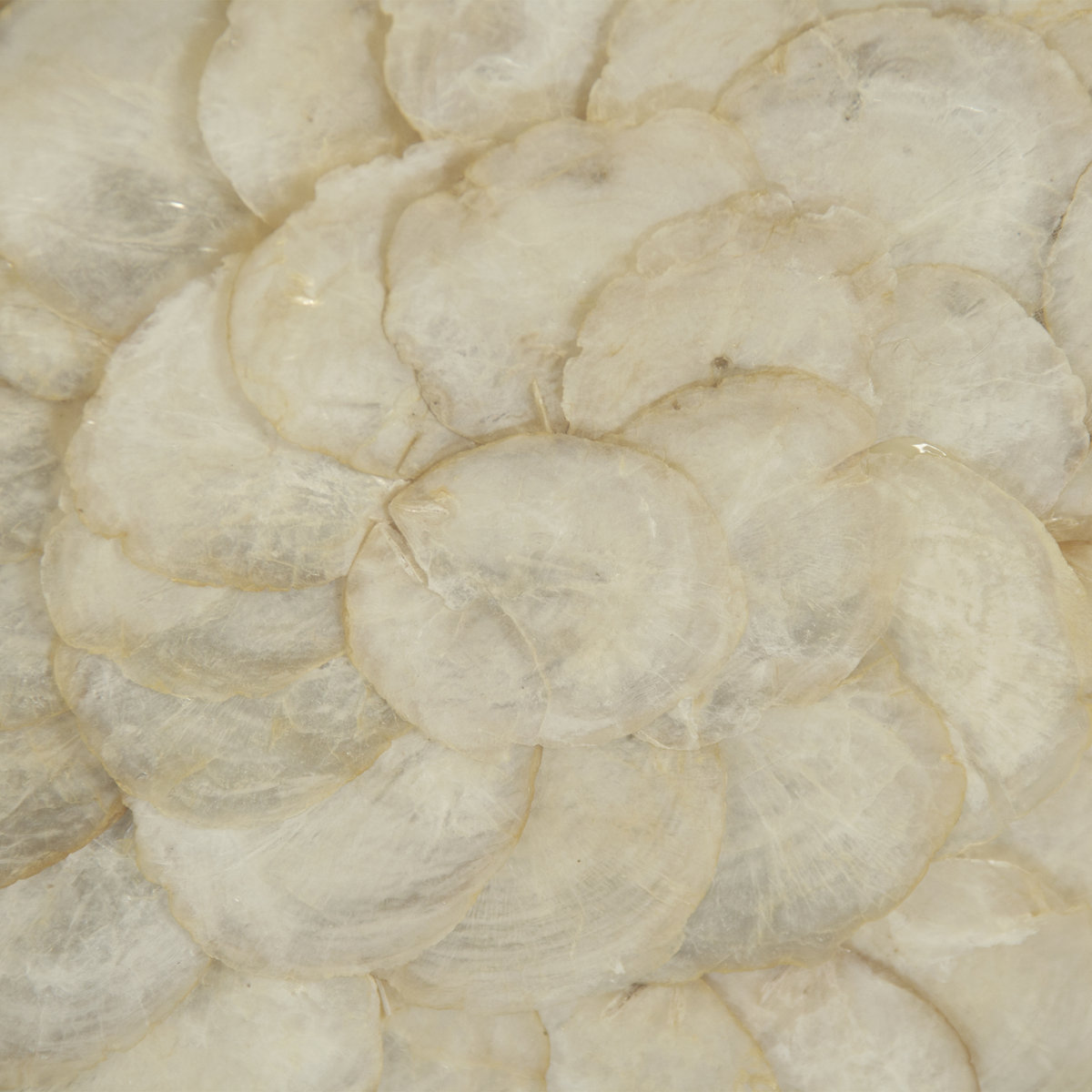 Zentique Abstract Shell Print - Thumbnail 3
