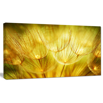 " Soft Yellow Dandelion Flowers "