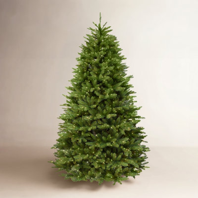 Fraser 90' Lighted Artificial Fir Christmas Tree