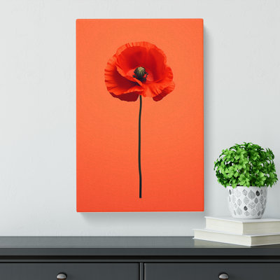 Poppy Flower Minimalism - Wrapped Canvas