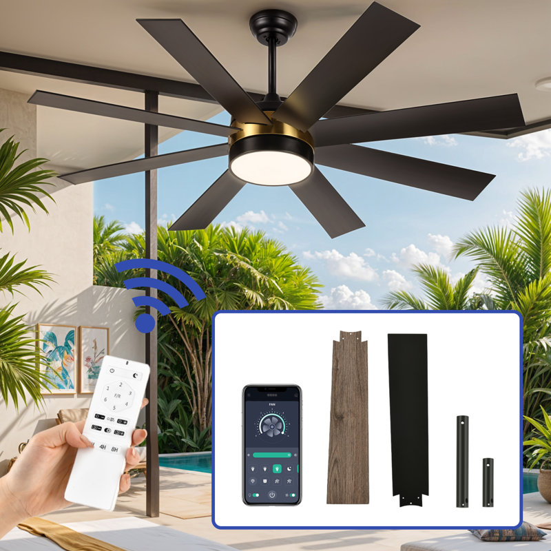 Chemane 60'' Ceiling Fan with LED Lights, Black, Gold/Black
