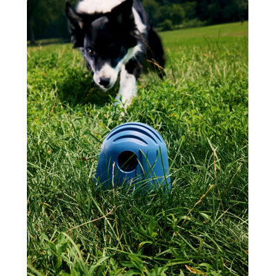 Hybrid Feeder/Toy