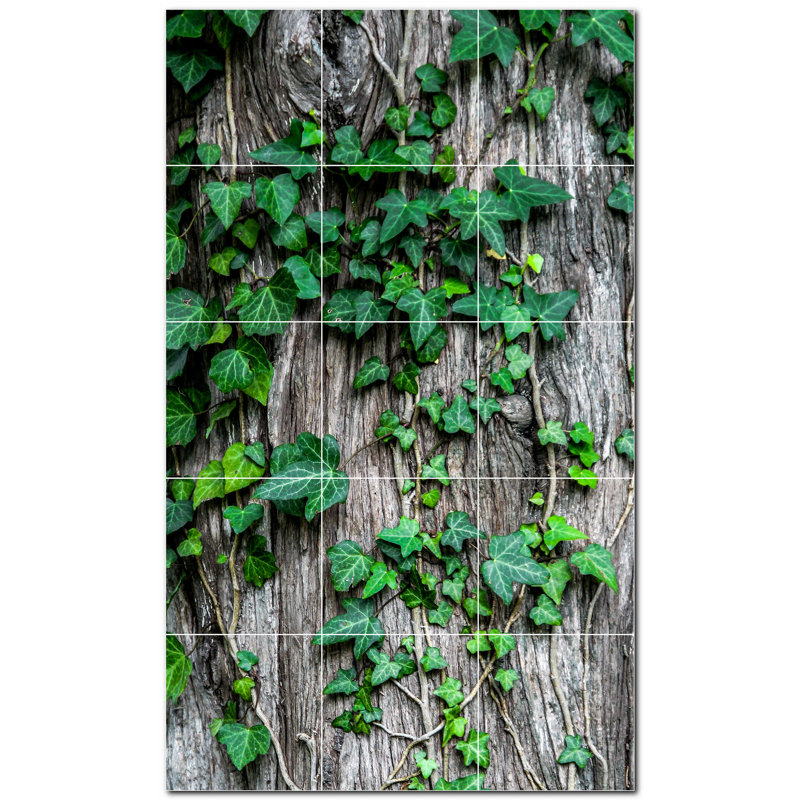 Photo murale décorative Arbres