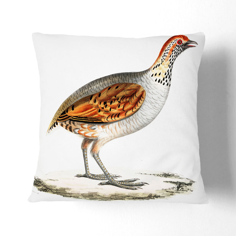 Square Throw Cushion, Black, 40cm H x 40cm W x 15cm D