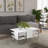 Coffee Table-257573969