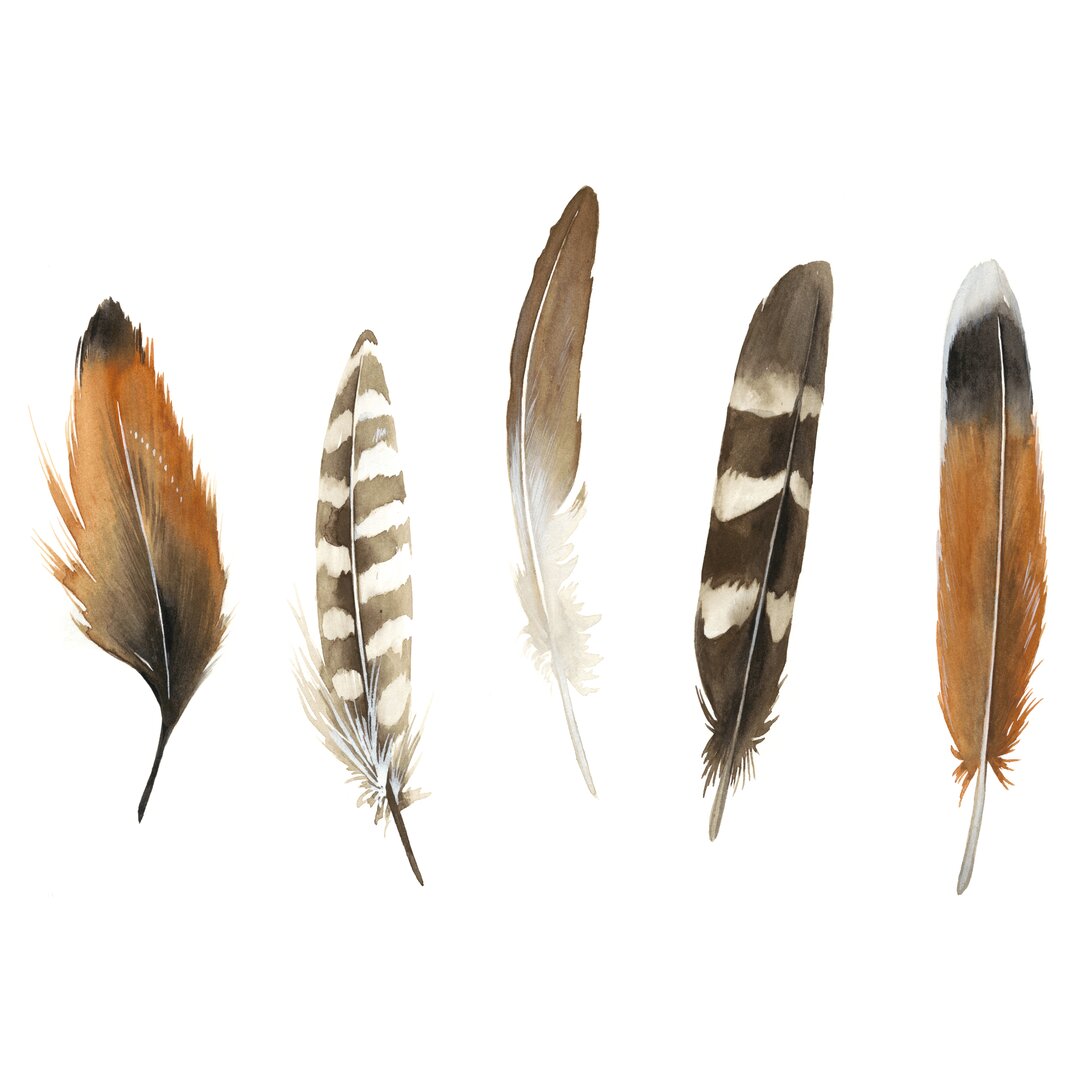 Leinwandbild Red Rock Feathers I von Grace Popp