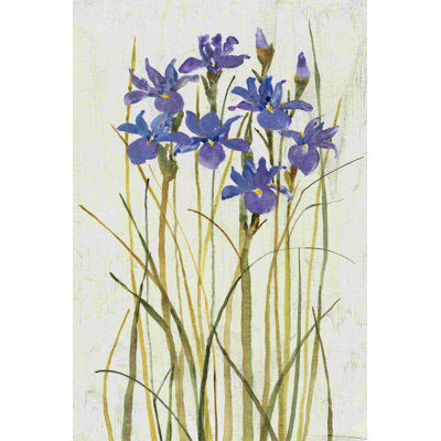 Iris Patch II