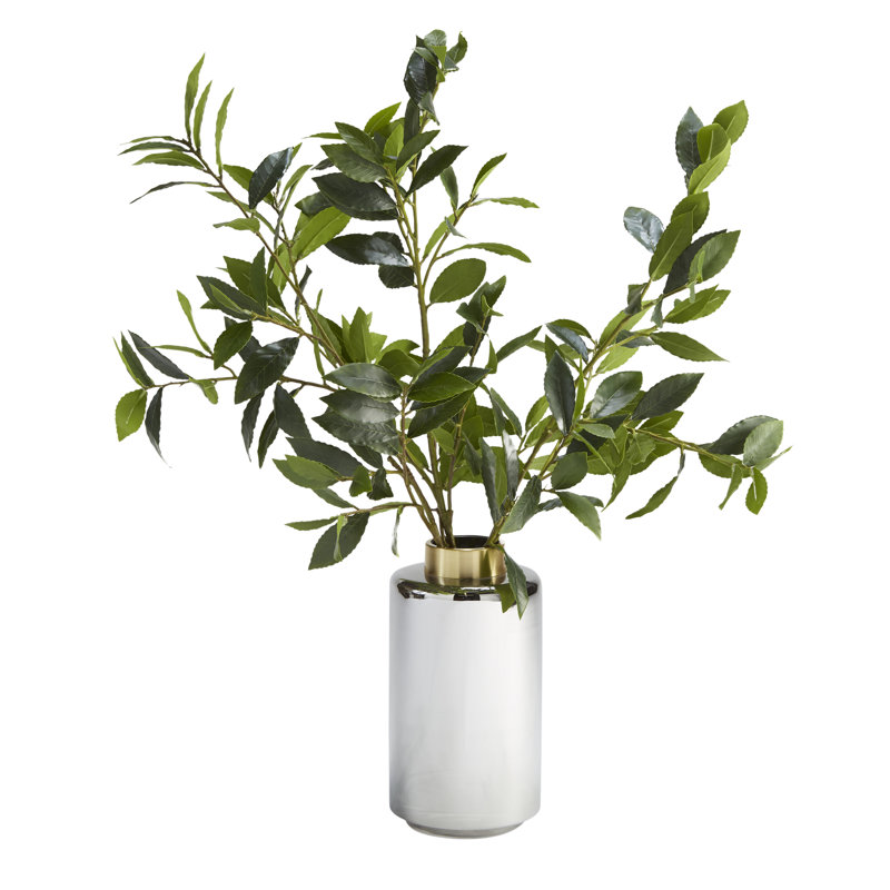 Branches de laurier dans un vase en verre fumé