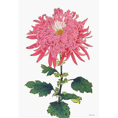 " Pink Floral 1 " by Stellar Design Studio