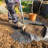 Weather Resistant Weed Control