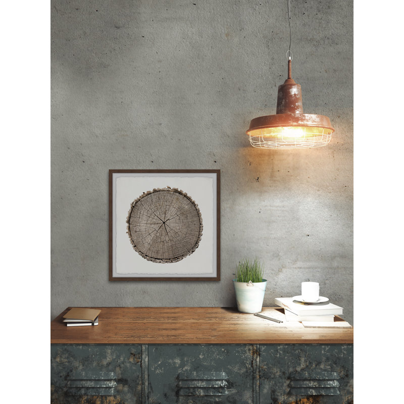 Stuck In Time by Marmont Hill - Single Picture Frame Painting, 51cm H x 51cm W x 3.81cm D