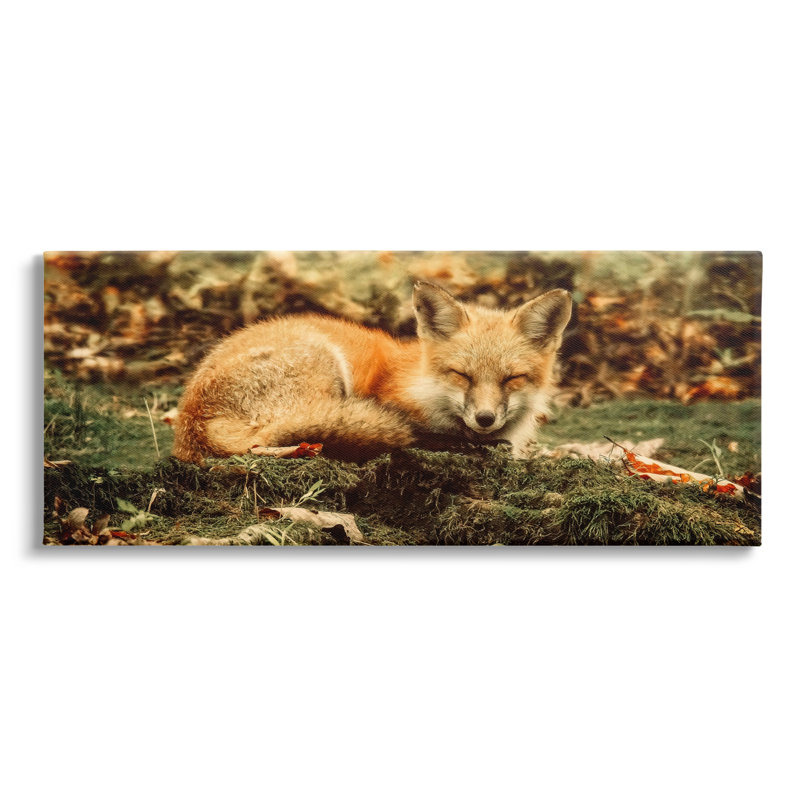 «Sleeping Fox Kit Peaceful Forest Floor Lush Nature» par Carrie Ann Grippo-Pike - photographie sur toile tendue