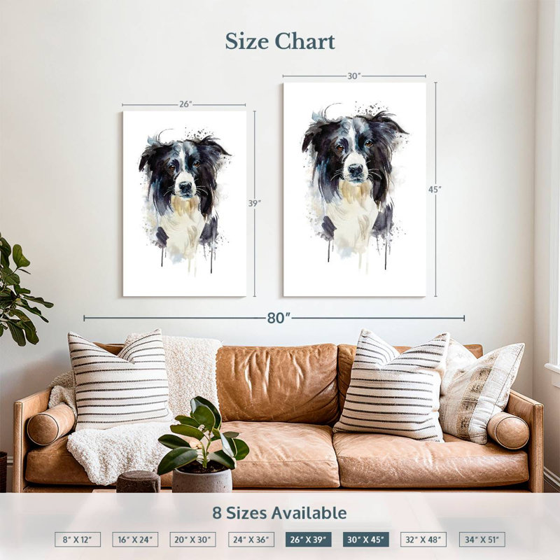Border Collie Dog Splash, H 45 po x l 30 po