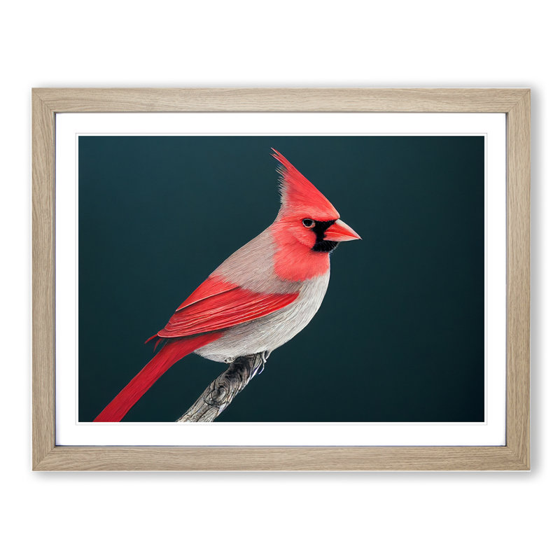 Cardinal Bird Vol.1 - Single Picture Frame Print, 46cm H x 64cm W x 2cm D, Oak Framed