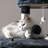 Cellestine 68.1'' H Cat Tree-944714099
