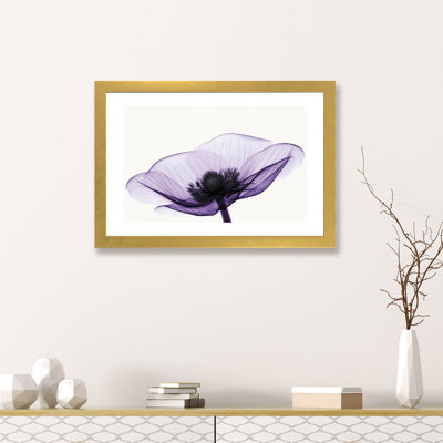 " Anemone II " by Robert Coop