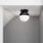Iyauna Flush Mount-75856705